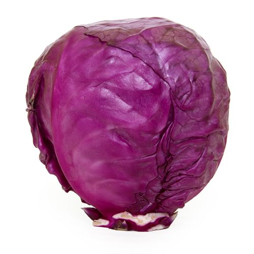 /storage/photos/30/10000170-4_2-fresho-cabbage-red.jpg