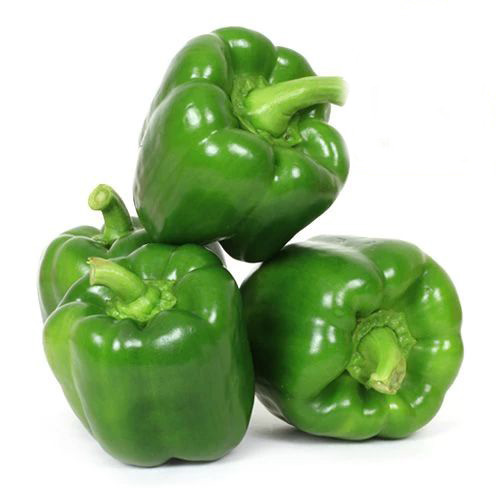 /storage/photos/30/img/10000067_23-fresho-capsicum-green.jpg