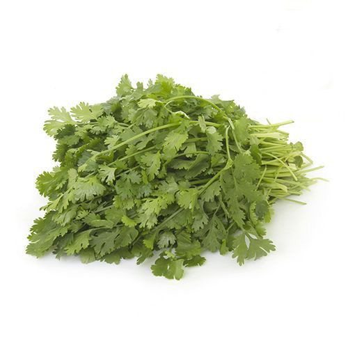 /storage/photos/30/img/10000098_9-fresho-coriander-leaves11.jpg