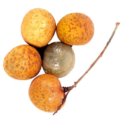 /storage/photos/30/img/30002320_6-fresho-longan.jpg